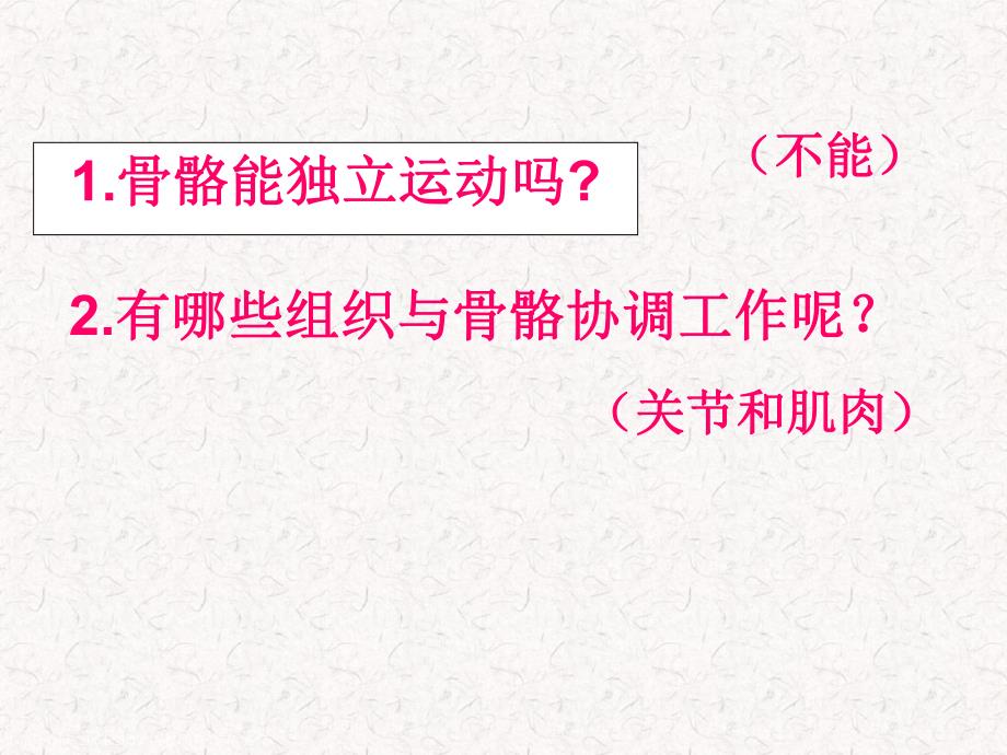 教科版小学科学四级上册《骨骼、关节和肌肉》课件.ppt_第3页