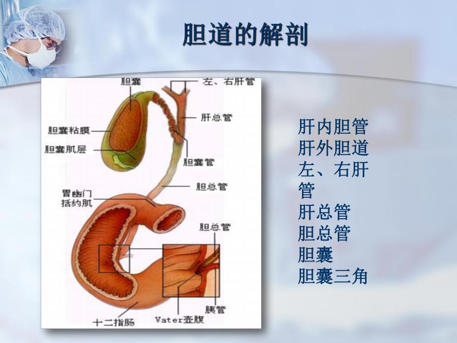 普外科护理业务查房.ppt_第3页