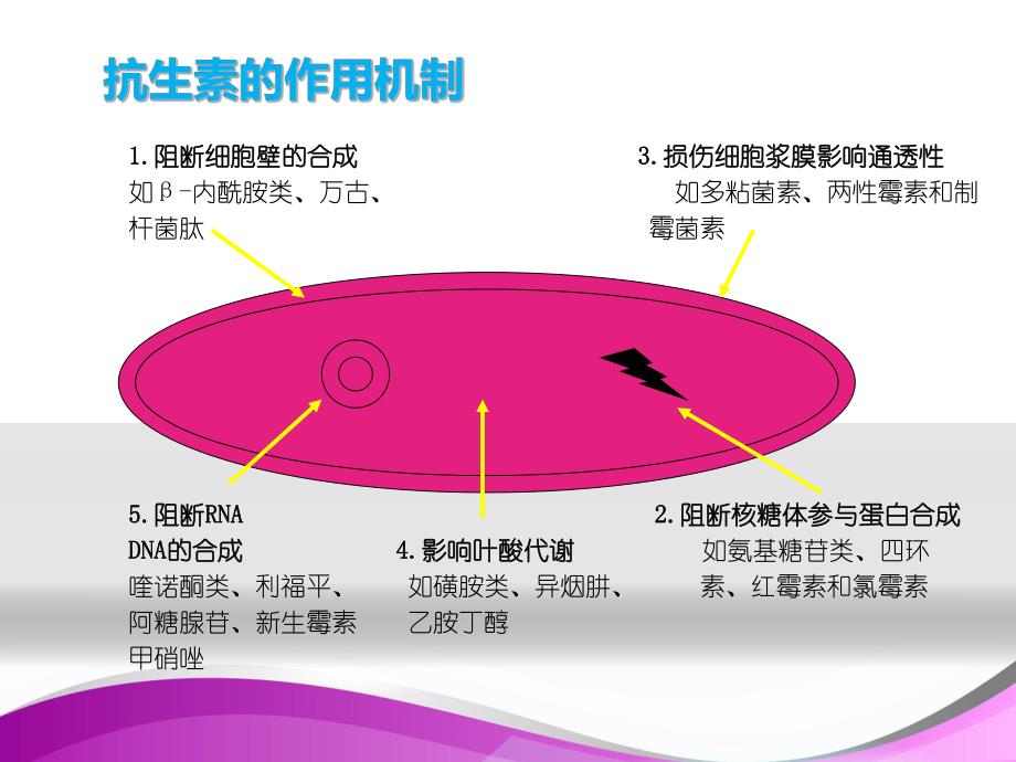 抗生素的分类及合理应用.ppt_第2页