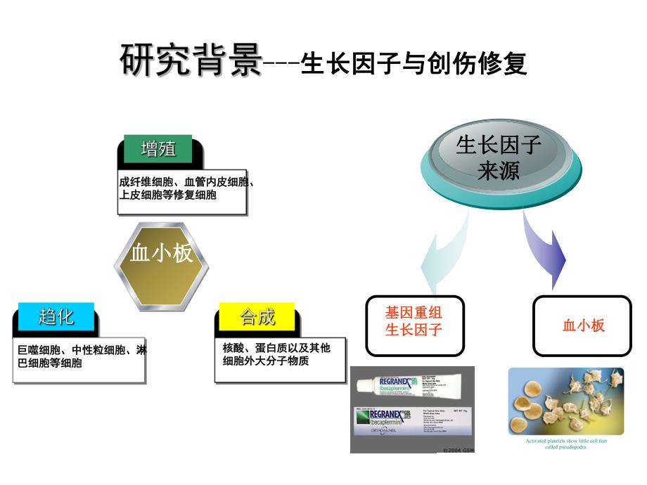 房磊冰冻干燥血小板对创伤修复的治疗作用.ppt_第3页