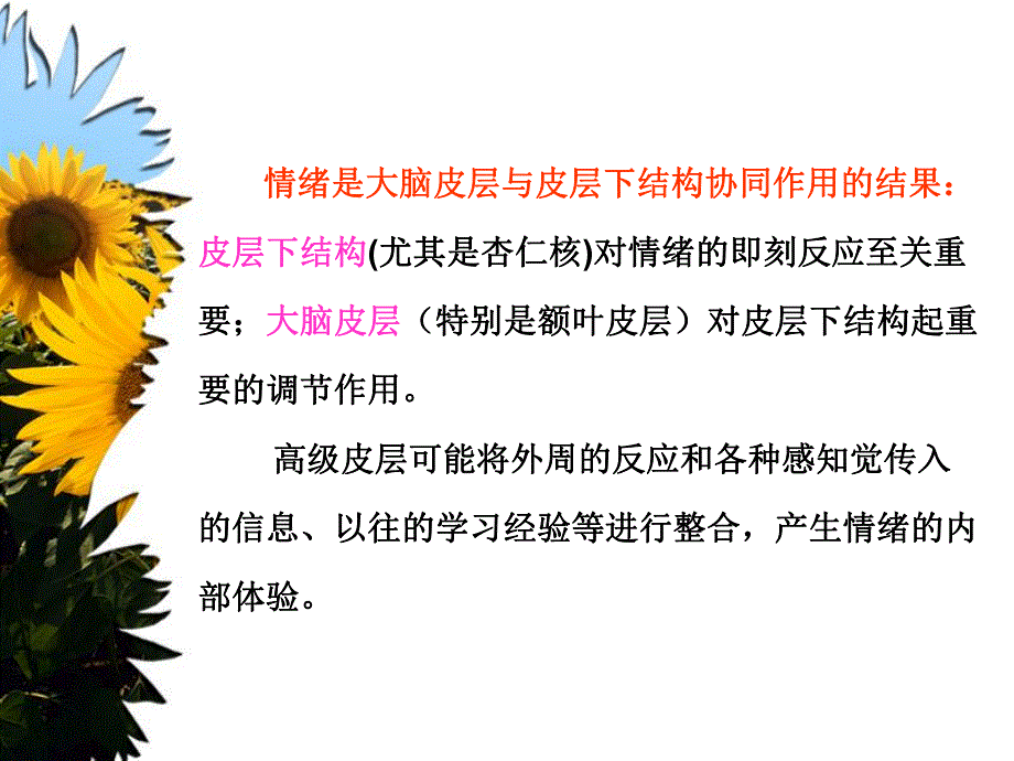 情绪的中枢神经机制.ppt_第3页