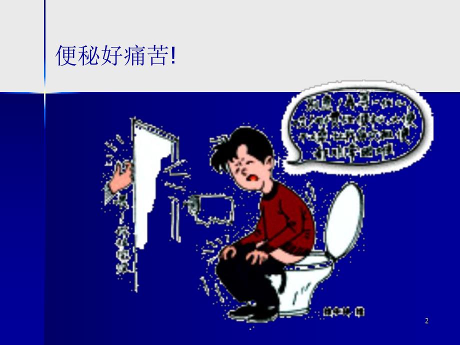 慢性功能性便秘的研究与临床PPT.ppt_第2页