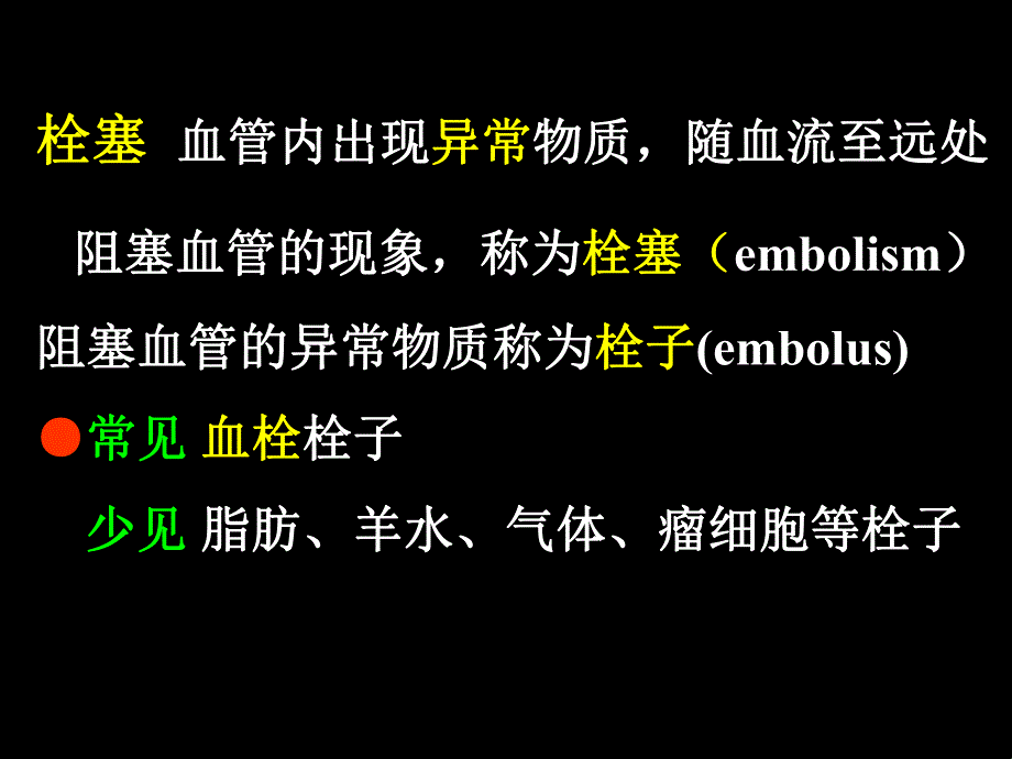 栓塞的定义栓子运行途径.ppt_第2页