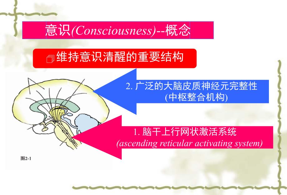 意识障碍分级.ppt_第3页