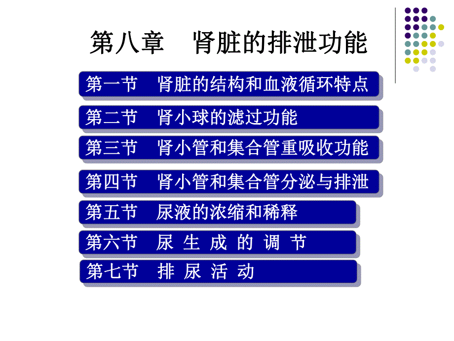 生理学肾脏的排泄功能.ppt.ppt_第1页