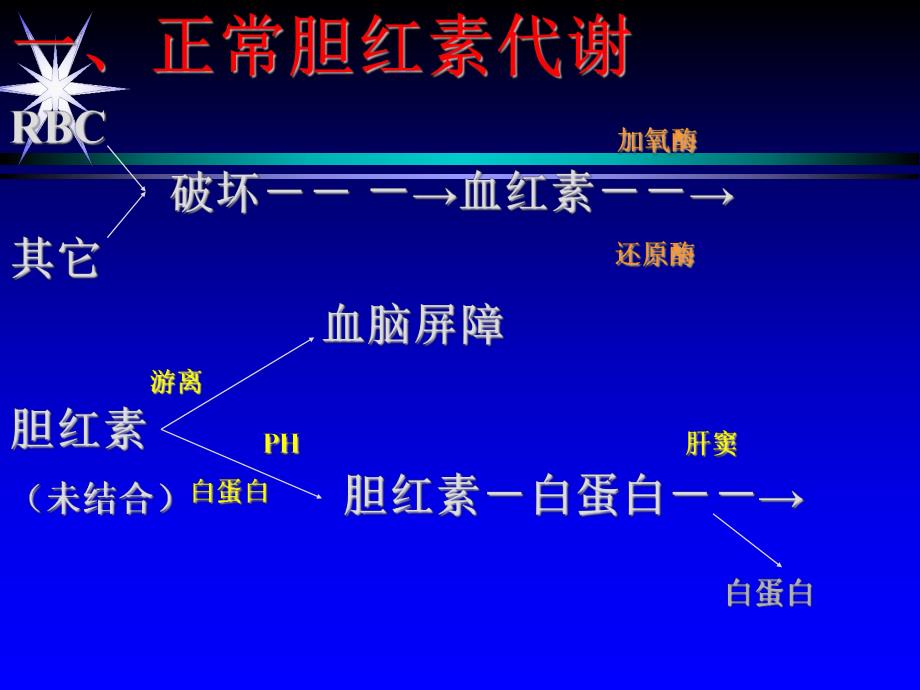 新生儿黄疸2.ppt_第3页