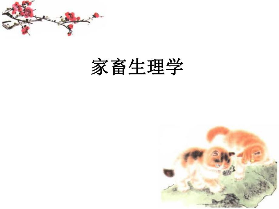 生殖系统.ppt_第1页