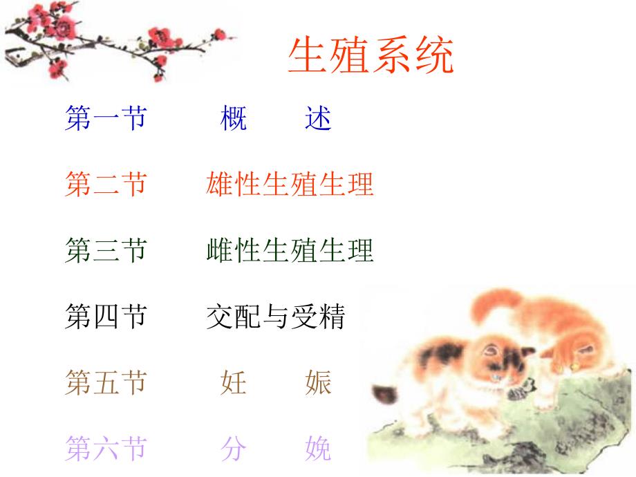 生殖系统.ppt_第2页