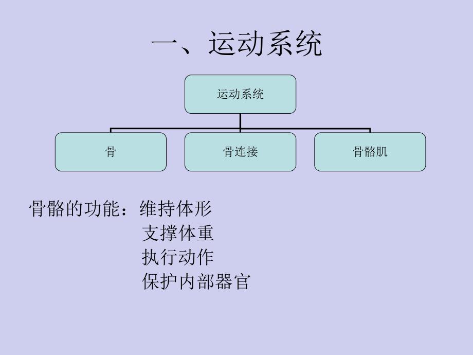 第二章 婴幼儿生理学知识.ppt_第3页