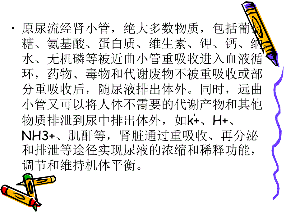 泌尿系统疾病患者.ppt_第3页