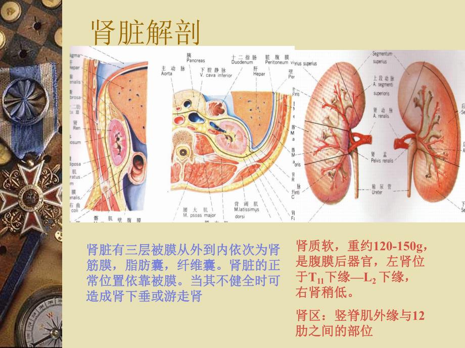 泌尿系统结石.ppt_第3页