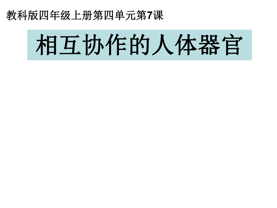 相互协作的人体器官.ppt_第1页