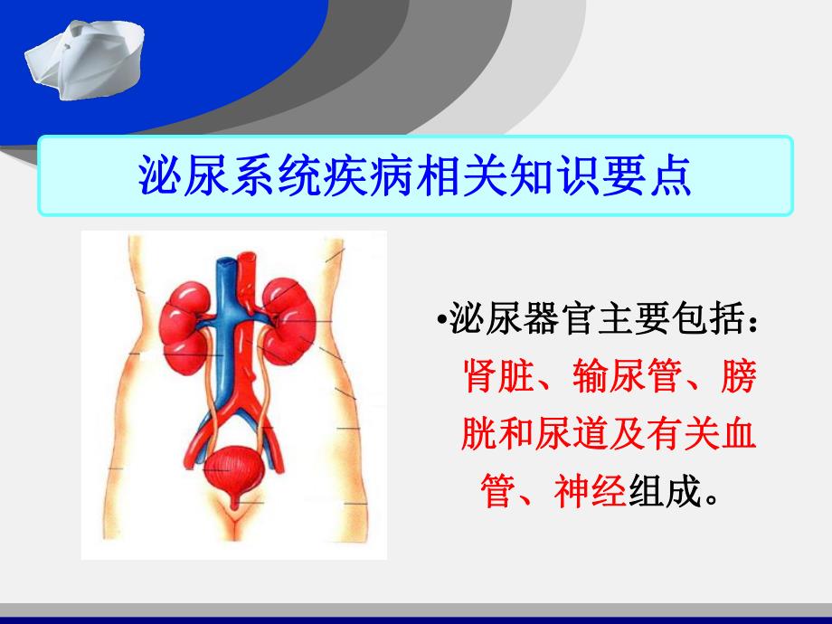 泌尿系统疾病常见症状及护理.ppt_第2页