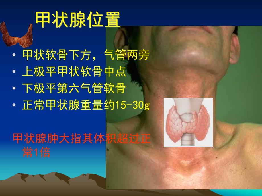 甲状腺解剖生理概要及临床意义.ppt_第2页