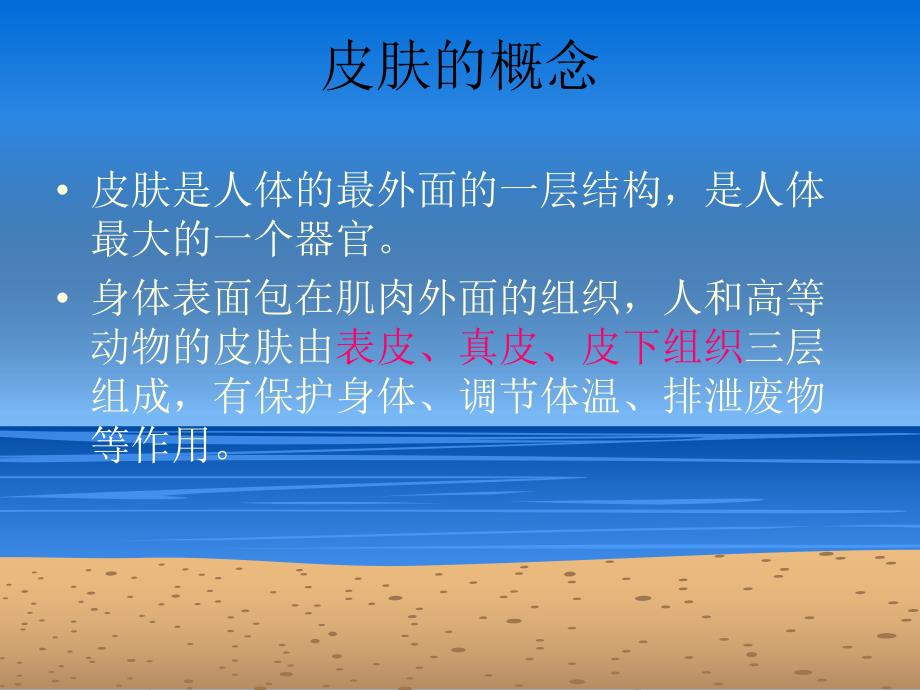 皮肤结构及肤质.ppt_第2页