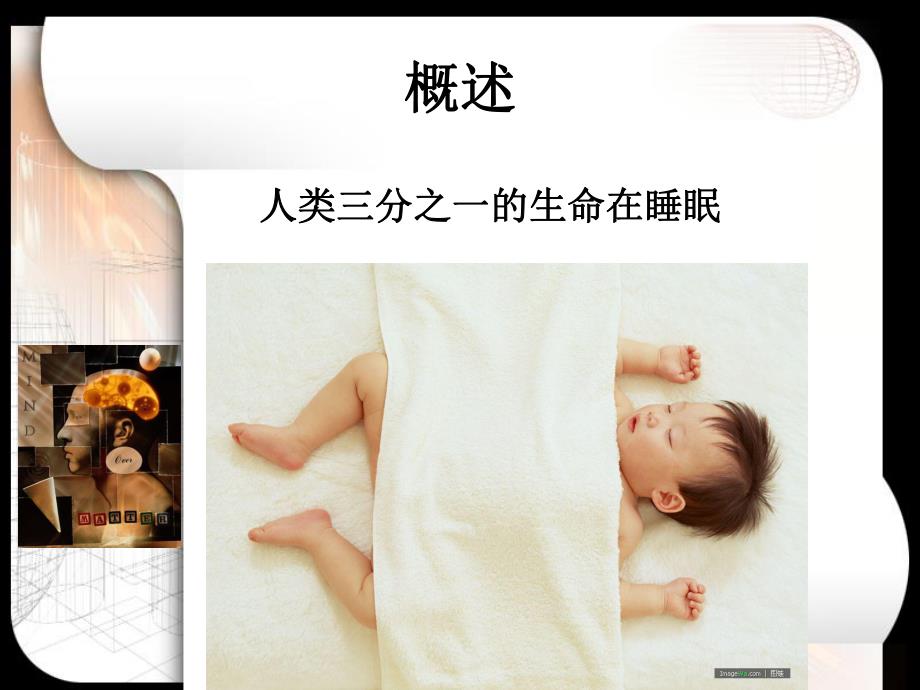 第18章 睡眠与觉醒的脑机制.ppt.ppt_第2页