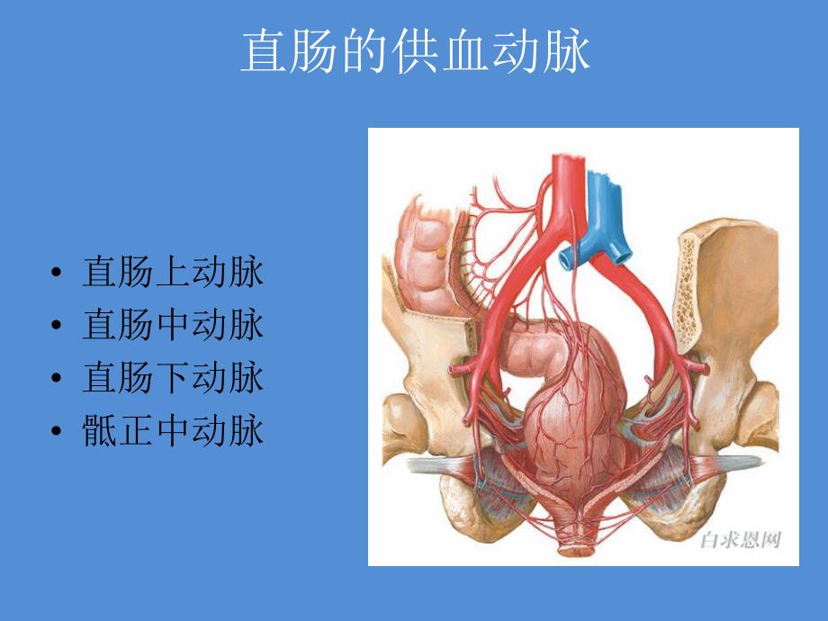 直肠癌术前分期.ppt_第3页