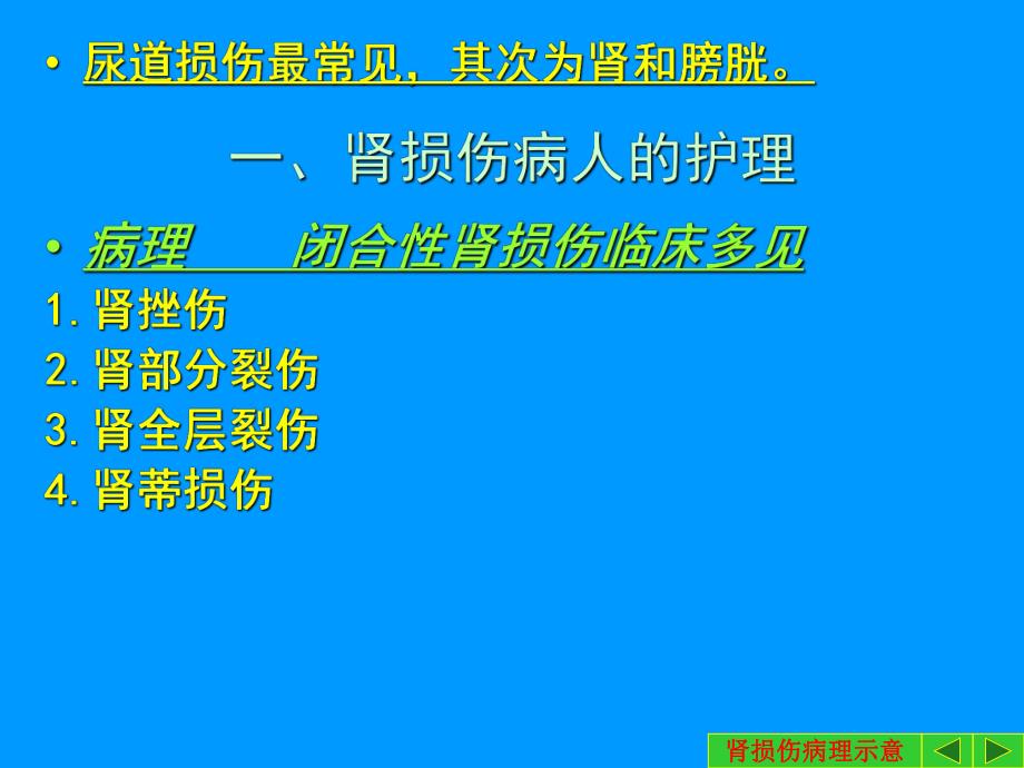 泌尿系统损伤病人的护理ppt.ppt_第3页