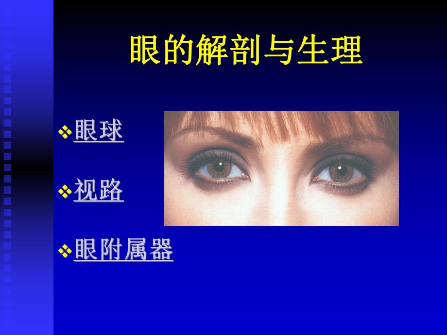 眼部解剖.ppt_第2页