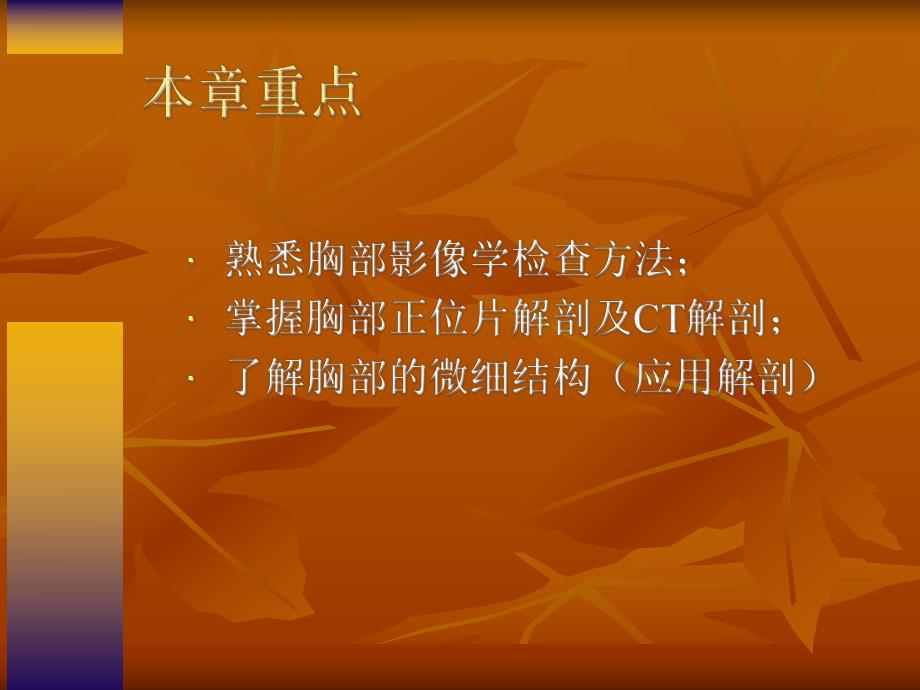 肺部检查与解剖.ppt_第1页