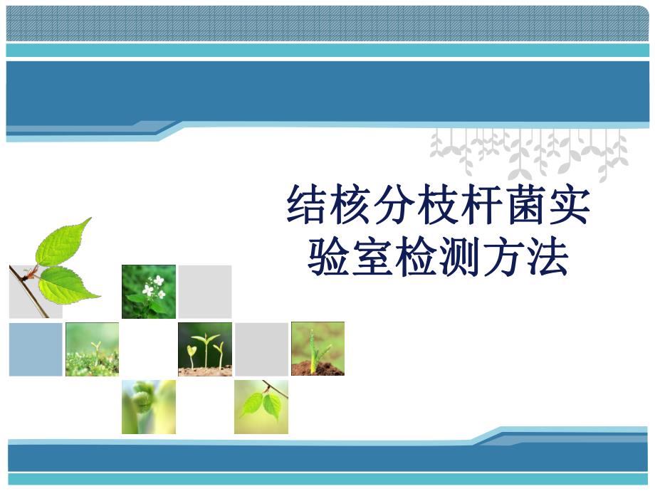 结核分枝杆菌实验室检测方法.ppt_第1页