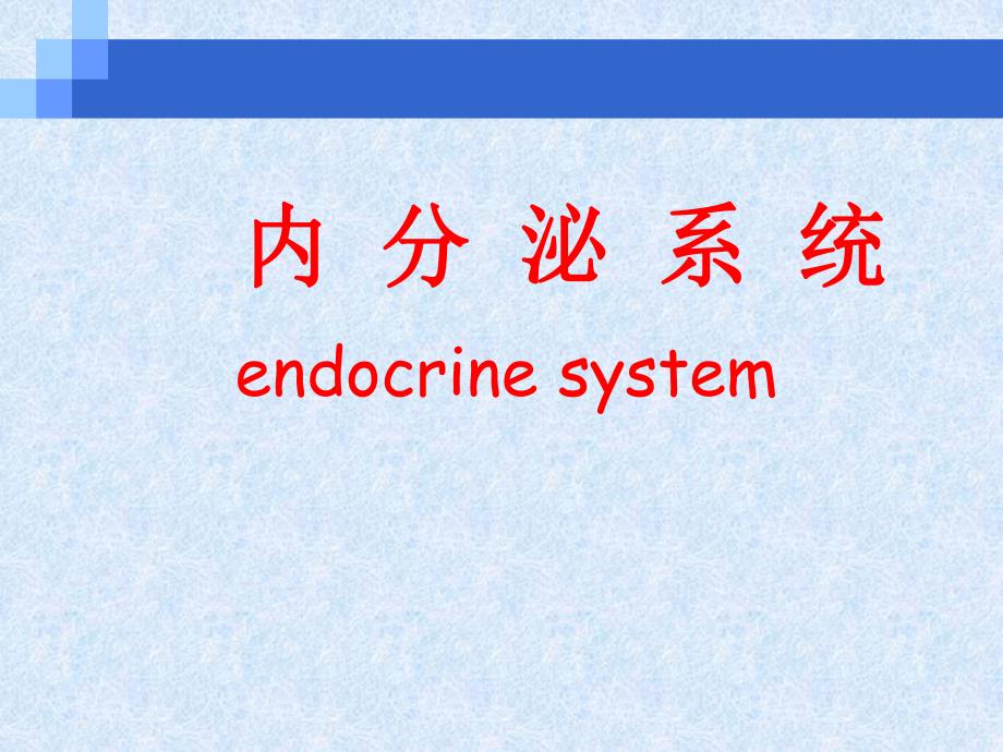 第十一章、内分泌系统理论课.ppt_第1页