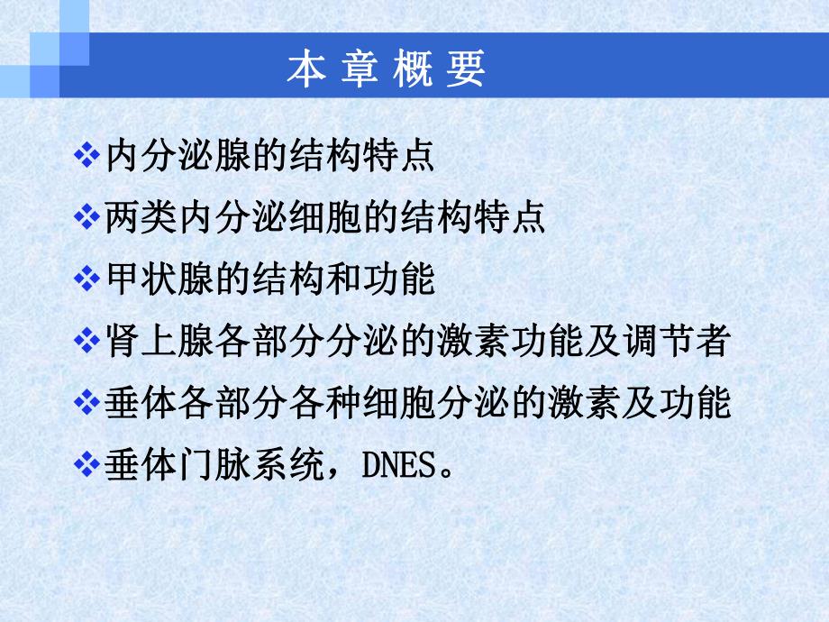 第十一章、内分泌系统理论课.ppt_第2页