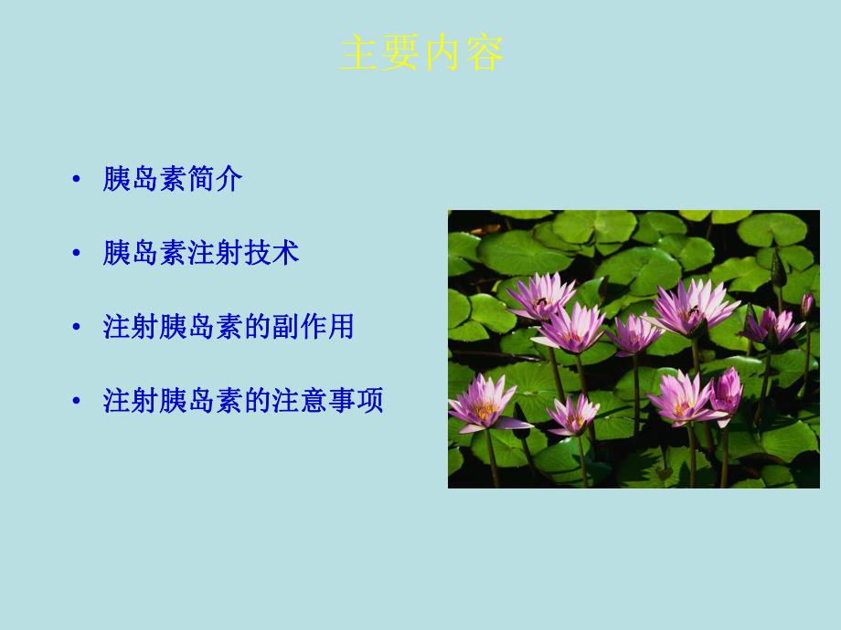 糖尿病人胰岛素注射相关问题.ppt_第2页