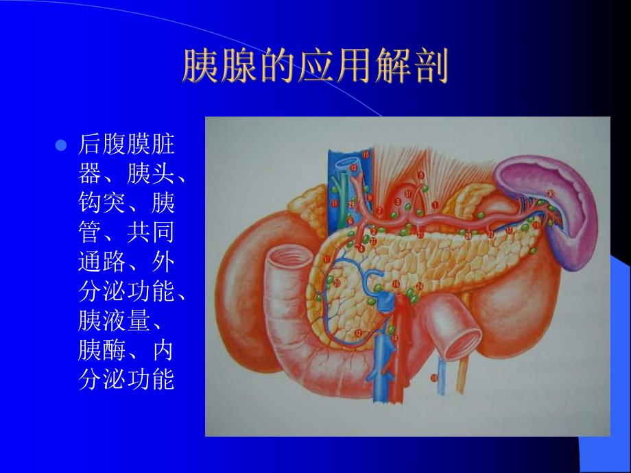 胰腺疾病.ppt_第2页