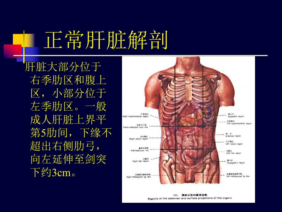 肝脏超声检查诊断学.ppt_第3页