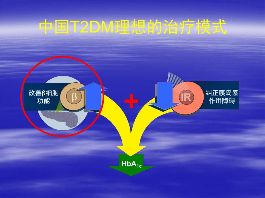 糖尿病药物治疗.ppt_第2页