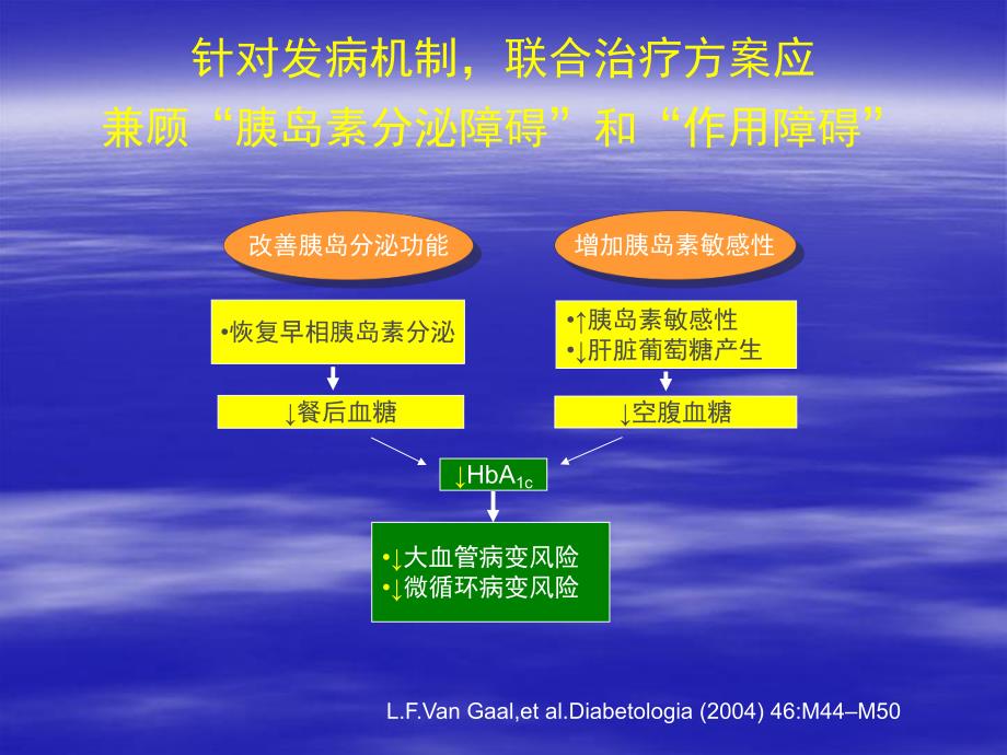 糖尿病药物治疗.ppt_第3页