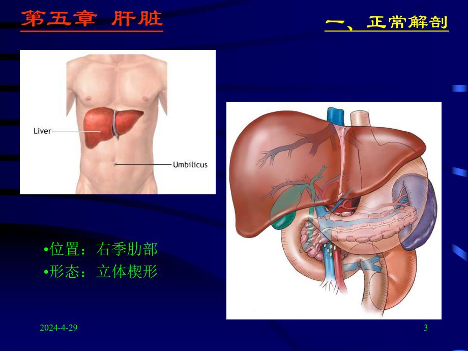 肝脾超声.ppt_第3页