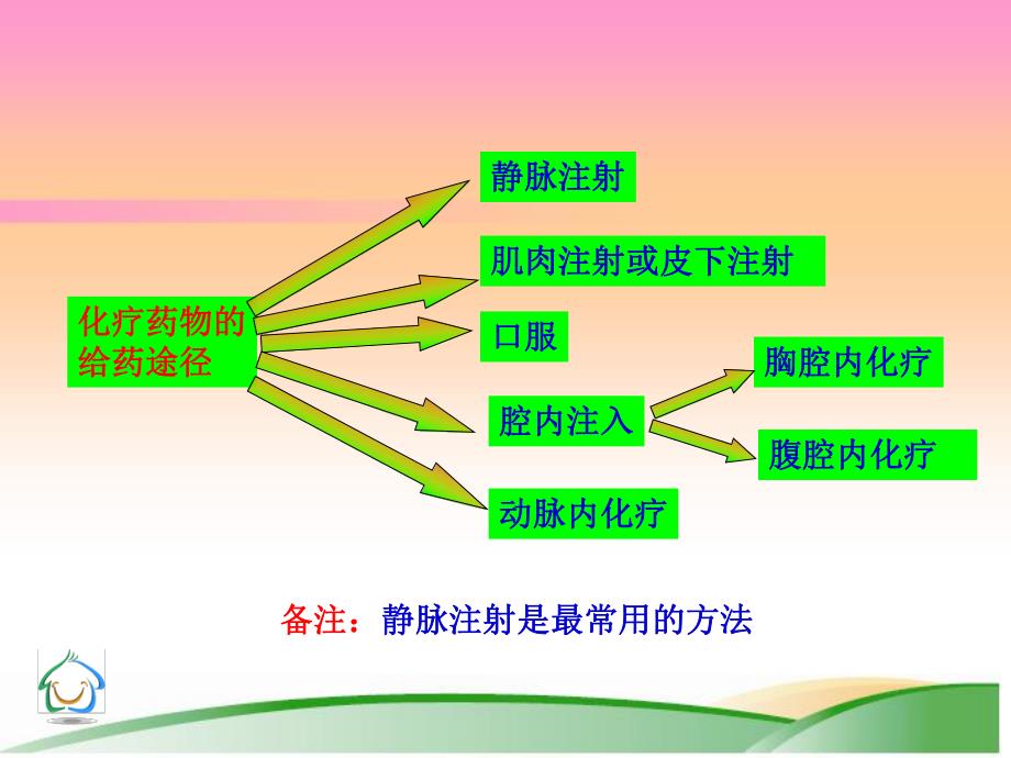 肿瘤化疗病人的护理.ppt_第3页