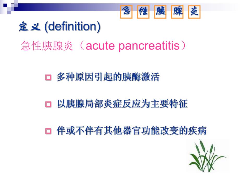 胰腺炎护理查房5.ppt_第3页