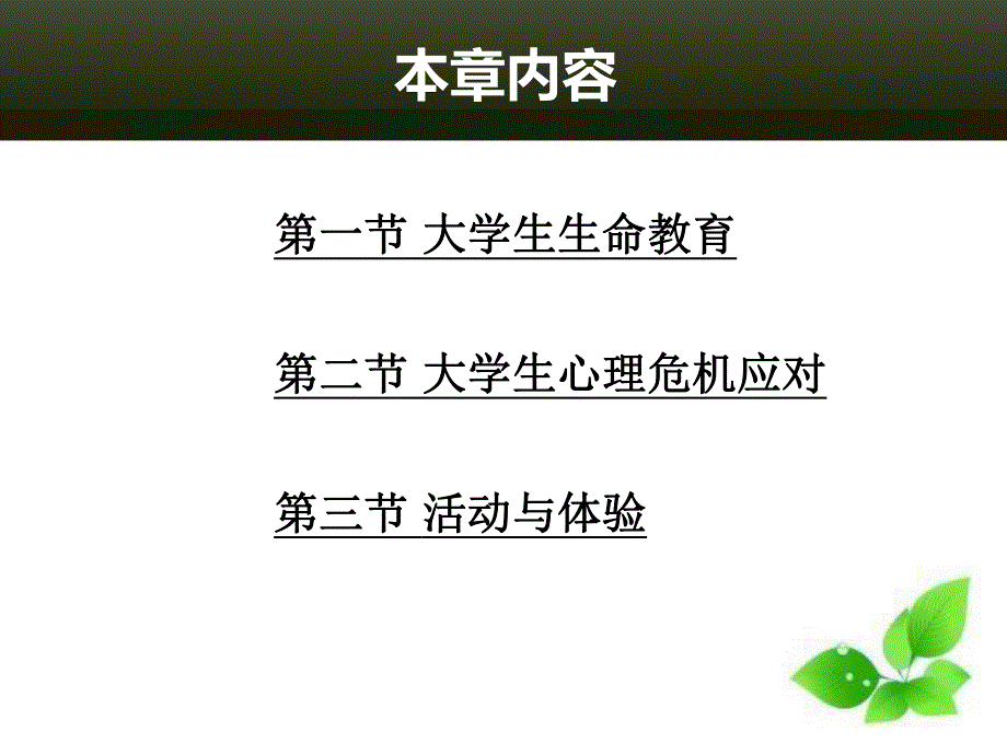 第十二章大学生生命教育与心理危机应对.ppt_第2页