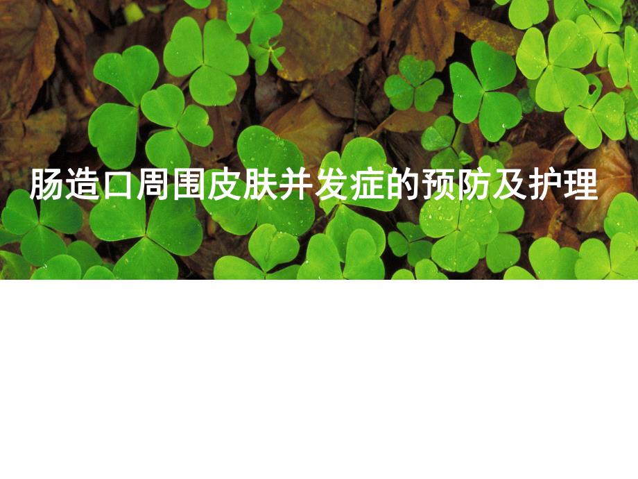 肠造口周围皮肤并发症的护理.ppt_第1页