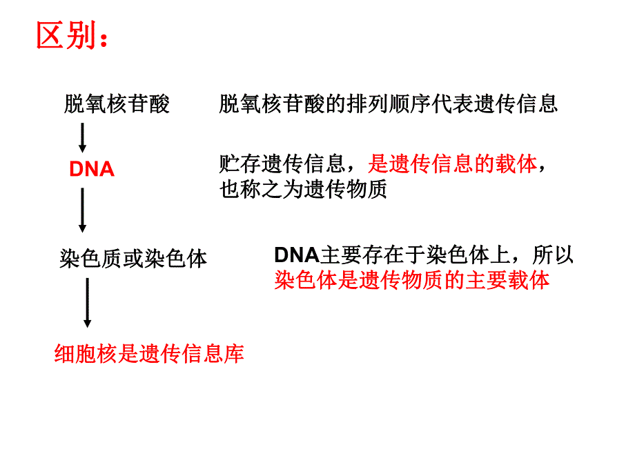 系统的控制中心细胞核.ppt_第3页