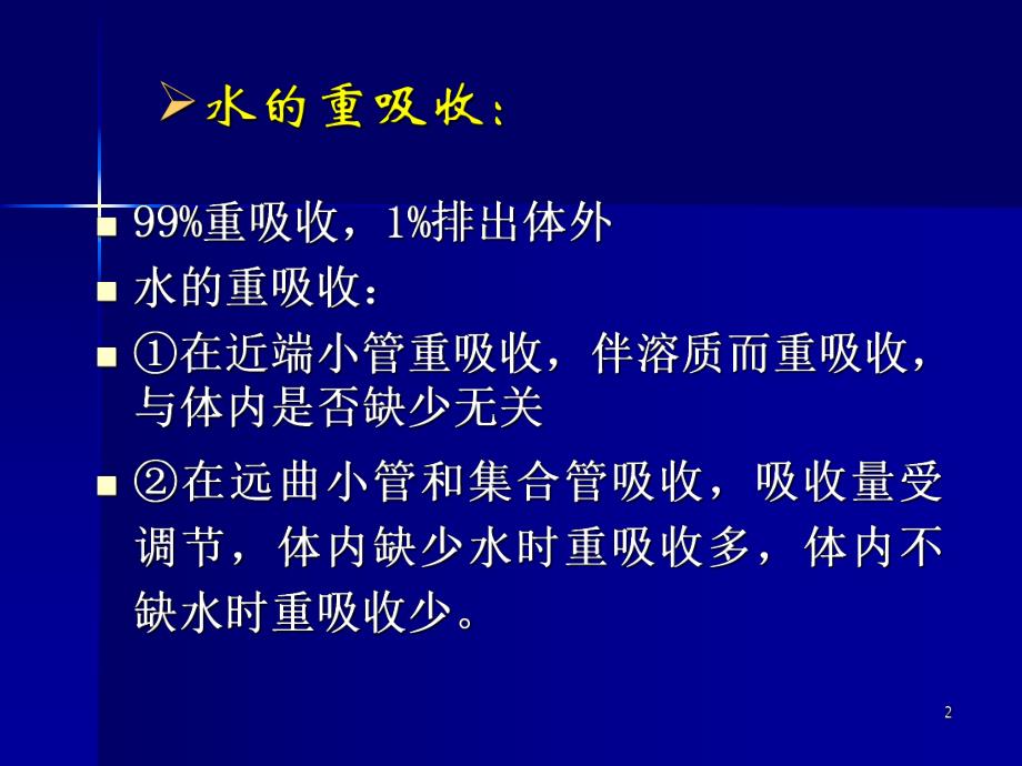 肾的排泄功能ppt.ppt_第2页