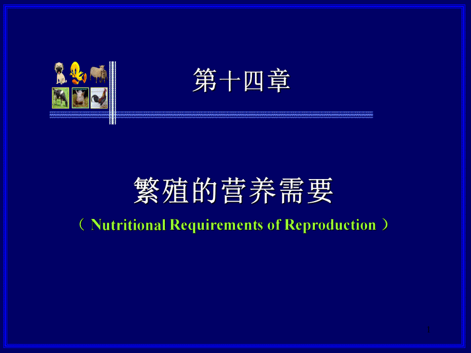 第十四章繁殖的营养需要(.ppt_第1页