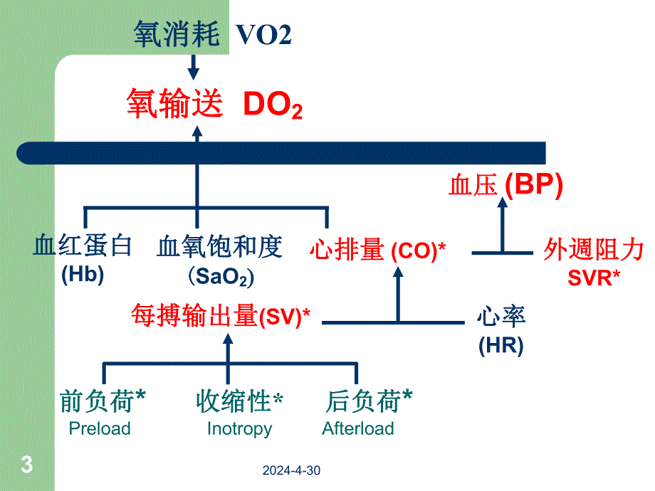 血流动力学监测技术.ppt_第3页