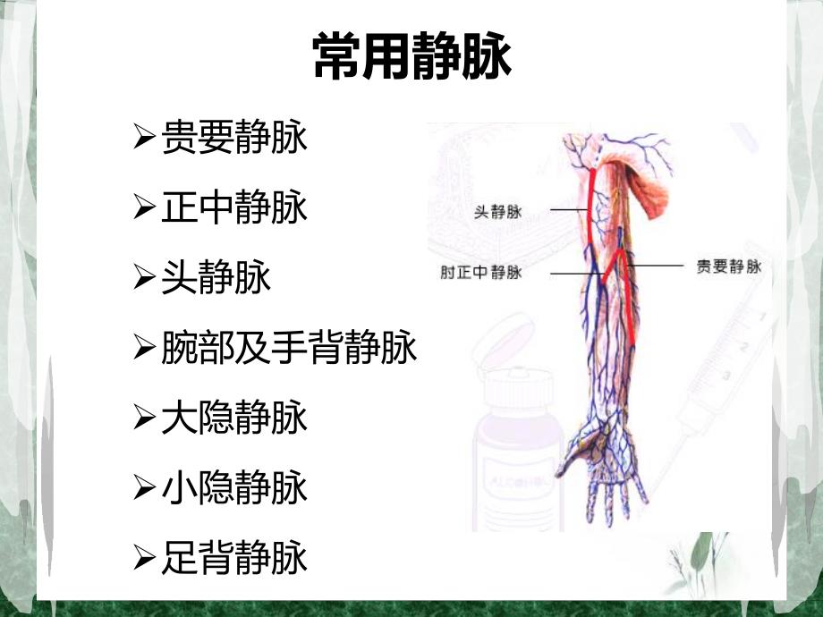 静脉穿刺技巧.ppt_第3页