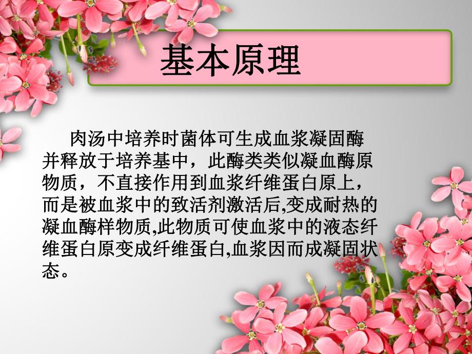 金黄色葡萄球菌的检验.ppt_第3页