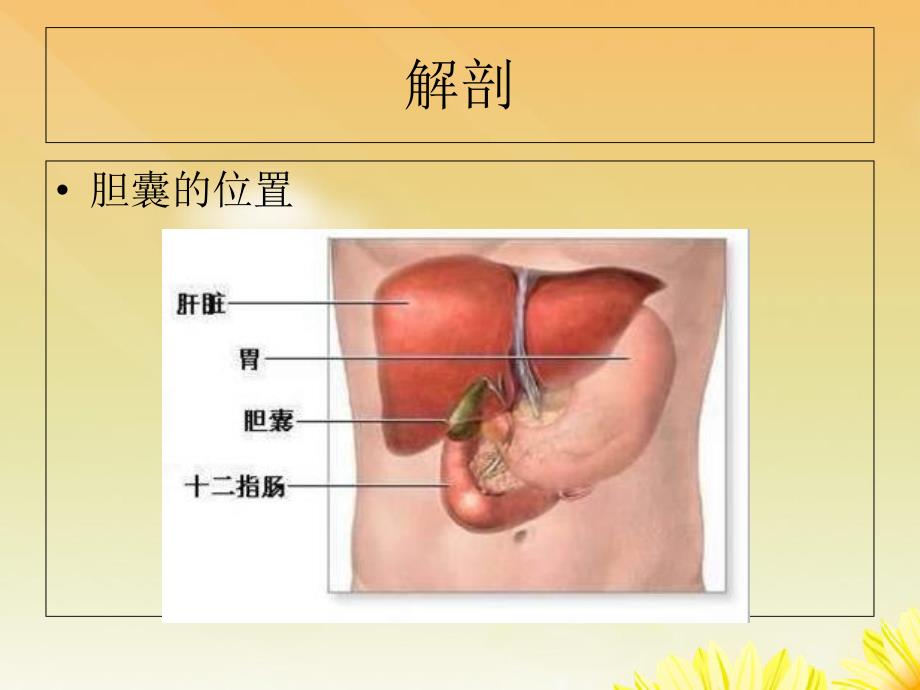 腹腔镜胆囊切除术的护理.ppt_第3页