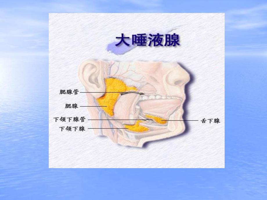 腮腺肿瘤的护理.ppt.ppt_第3页