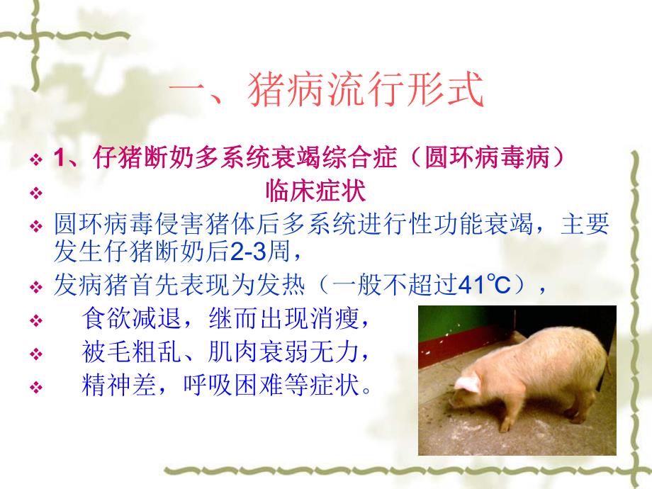 飞燕养猪场防治计划.ppt_第2页