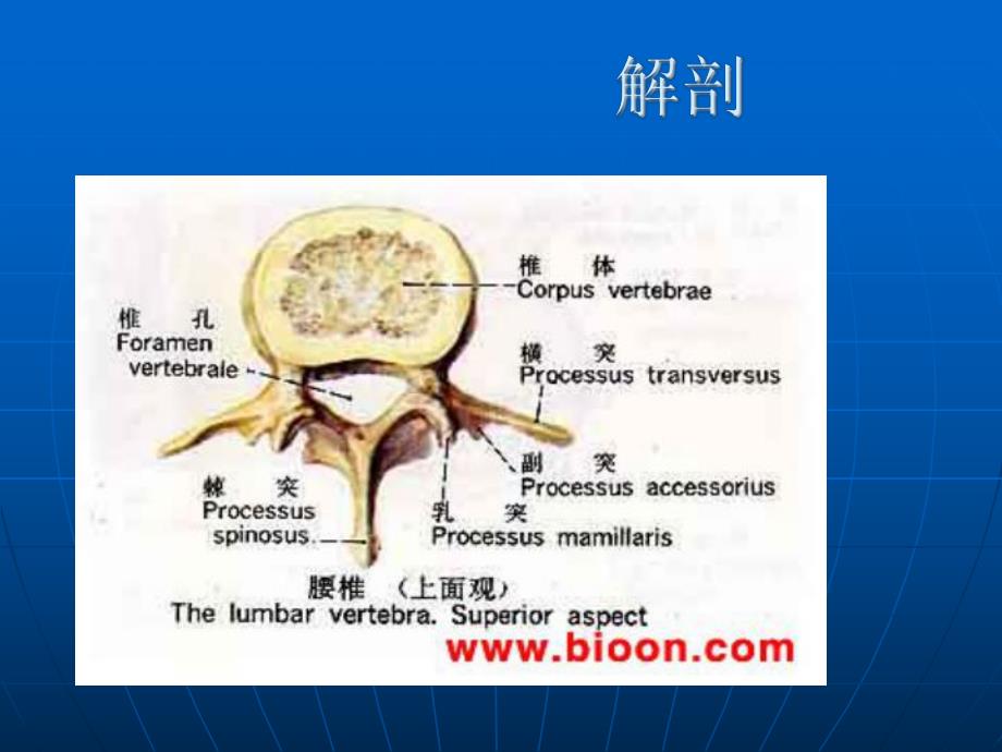 要椎间盘突出症手术治疗前后的.ppt_第3页