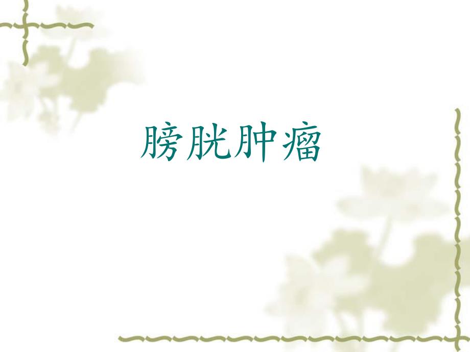 膀胱肿瘤.ppt.ppt_第1页