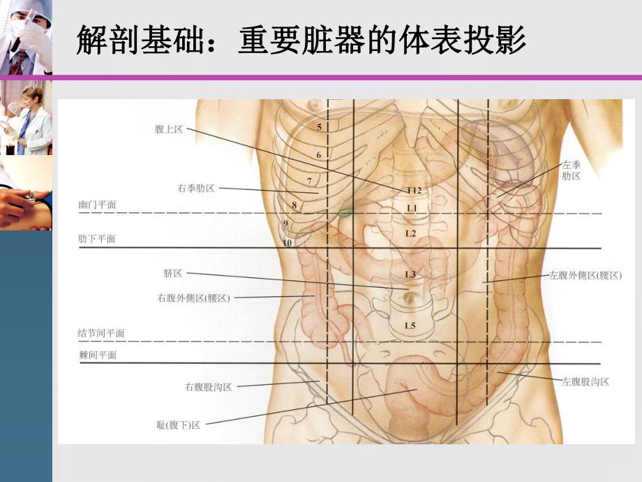 腹盆腔CT常见结构及临床意义讲座.ppt_第2页