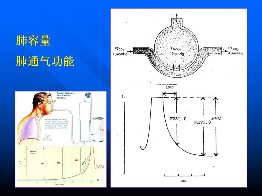 血气分析常用指标.ppt_第2页